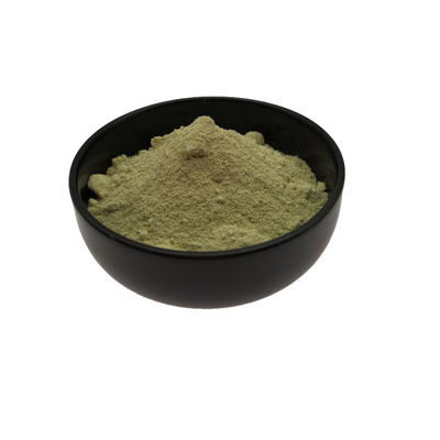 Bulk High Quality Dihydroquercetin Taxifolin Powder