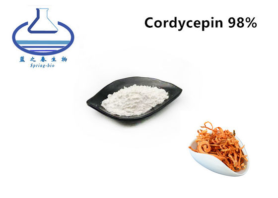 Natural Cordyceps Militaris Extract Powder 98% For Anti Aging