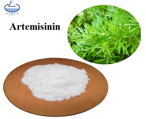 Artemisinin CAS 63968-64-9 Artemisia Annua Extract For Anti-Malaria Powder