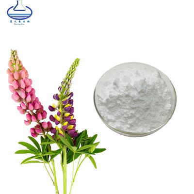 Lupeol Pure Plant Extracts CAS 545-47-1 Crataeva Nurvala Extract