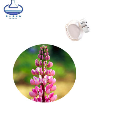 Lupeol Pure Plant Extracts CAS 545-47-1 Crataeva Nurvala Extract