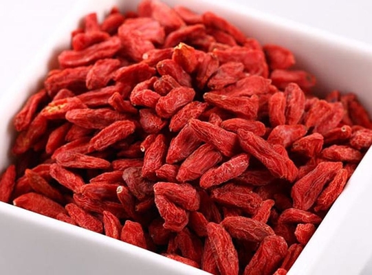 Nature Pure Plant Extracts Organic Goji Berry Extract Powder