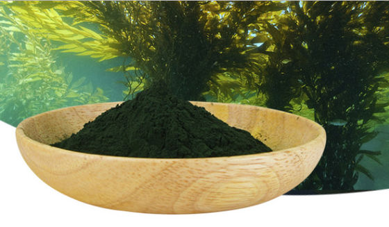 OEM CAS 724424-92-4 Green Spirulina Powder For Health Supplements