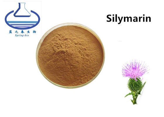 HPLC/UV Milk Thistle Extract 80% Silymarin Brown Yellow Powder