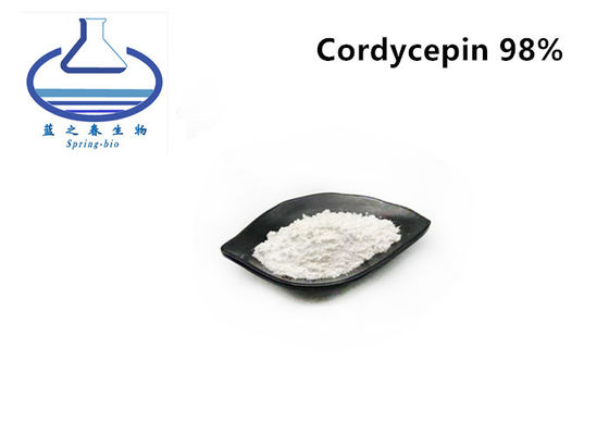 Natural Cordyceps Militaris Extract Powder 98% For Anti Aging