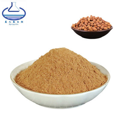 Semen Pruni Extract Powder Chinese Bushcherry Seed Extract Bunge Cherry Seed P.E.