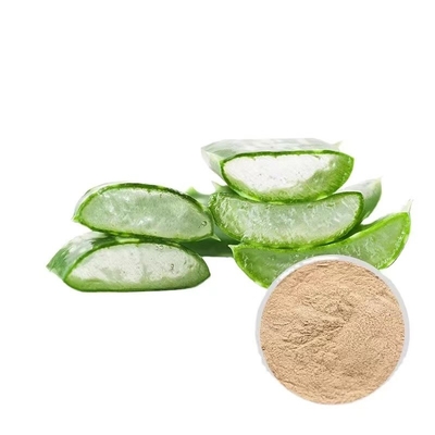 481-72-1 Aloe Vera Extract Powder 100/1 200/1 Natural Aloe Powder